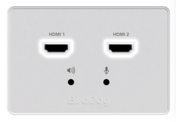 [BD-WPIN] BirdDog Wallplate Dual Input