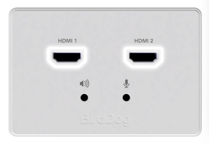 BirdDog Wallplate Dual Output